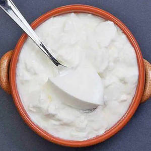 Plain Curd