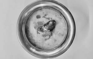 Gujarati kadi (evening)