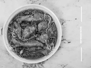 Chicken In Hot Garlic Sasuce