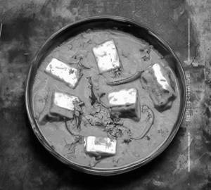 Paneer Butter Masala