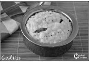 Curd Rice