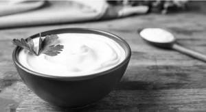 Plain Curd