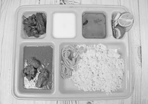 Halal Chicken Meals