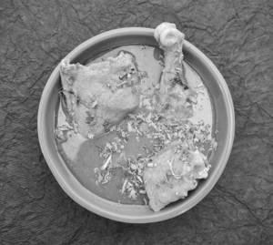 Chicken Handi
