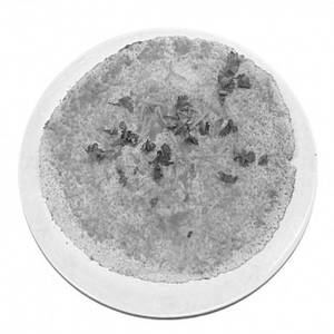 Karam Dosa
