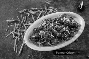 Paneer Crispy