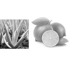 Aloevera Lime Juice (750 ml) Bottle