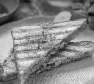 Veg Mayo Grilled Sandwich