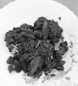 Liver