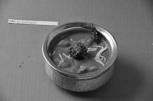 Chicken Kholapuri
