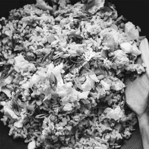 Egg Fried Rice
