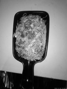 Veg Chow mein
