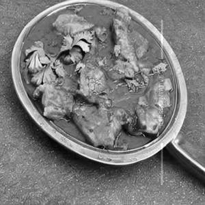 Fish Curry Fry