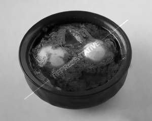 Anda Curry
