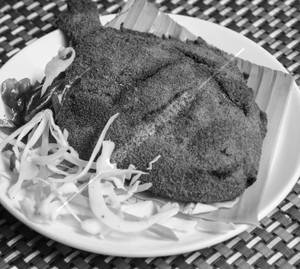 Pomfret Rava Fry