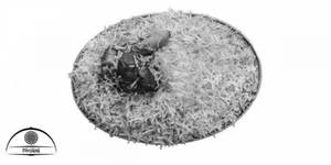 Biryani Mutton Piece (1 Pc)