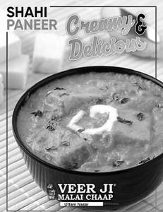 Veg Shahi Paneer