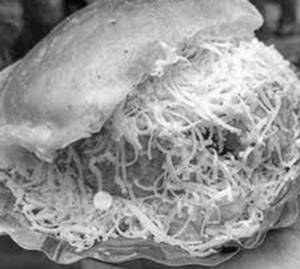 Cheese Vadapav