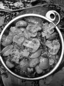 Mushroom Do Pyaza