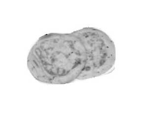 Kulche (2 Pcs)