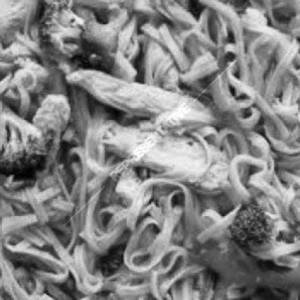 Chicken Mix Noodles