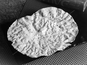 Fried Papad