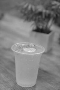 Rich Mojito