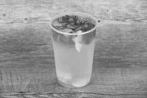 Mint Mojito
