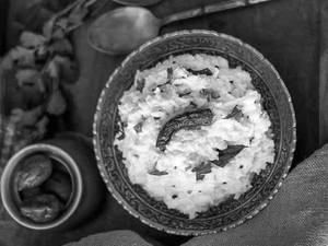 Curd Rice