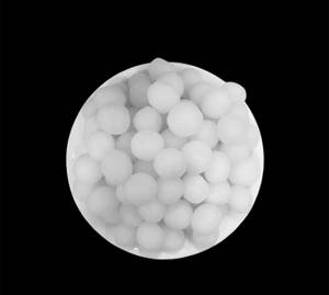White Rasbhari                                                       