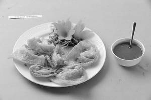Chicken Fry Wonton