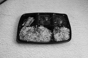 Hakka Noodles Combo