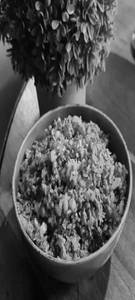 Xo Stir Fried Rice
