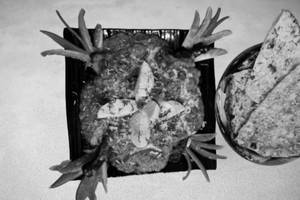 Murgh Musallam [nd]