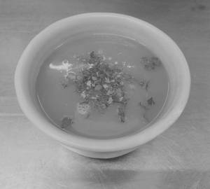 Tomato Coriander Sorba