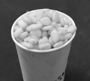 Plain Corn