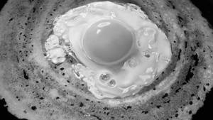 Egg dosa
