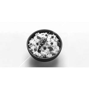 Curd Rice