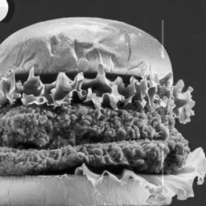 Chicken maharaja burger