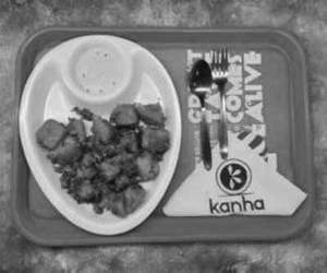 Spicy Tawa Idli
