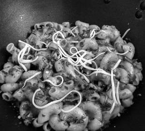 Veg Macaroni