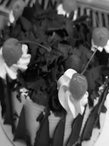 Blackforest Cake