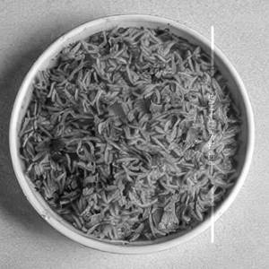 Masala Rice