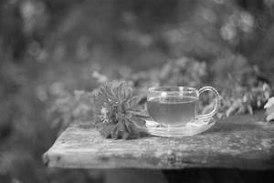 Lemon Green Tea