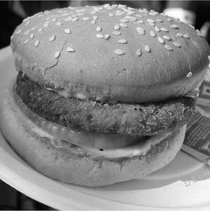 Hum Burger