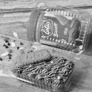 Choco Biscoff Delight Tub 