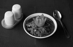 Chicken Chittinad