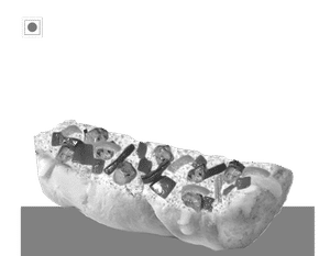 Chicken Tikka Foot Long (6 Inch)