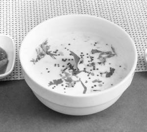 Curd Rice