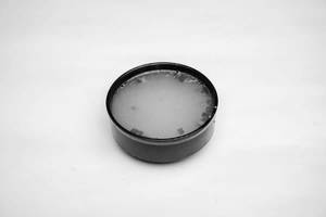 Chicken Soup